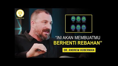 If You Feel Lazy and Not Motivated, LISTEN This Is Good. Andrew Huberman Sub Indonesia