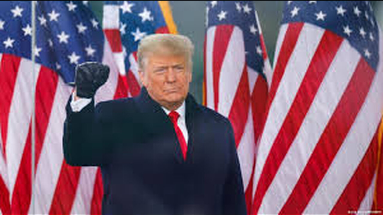 Trump - The Belly Of The Beast