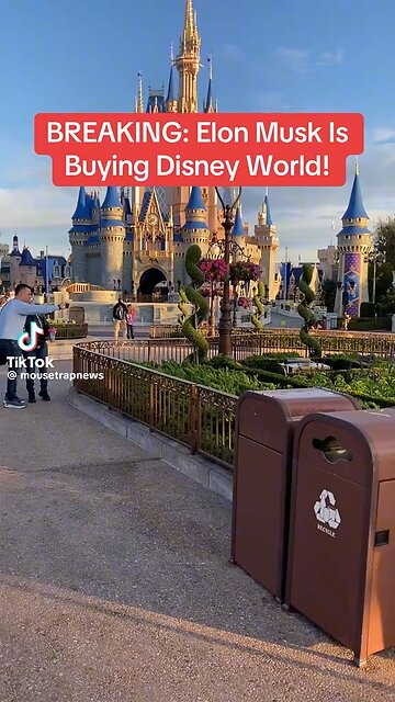 Elon Musk Wants To Make Disney Affordable & Un Woke