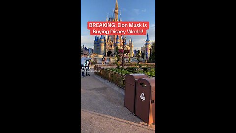 Elon Musk Wants To Make Disney Affordable & Un Woke