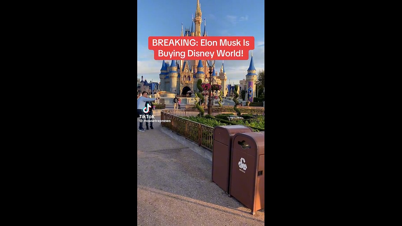 Elon Musk Wants To Make Disney Affordable & Un Woke