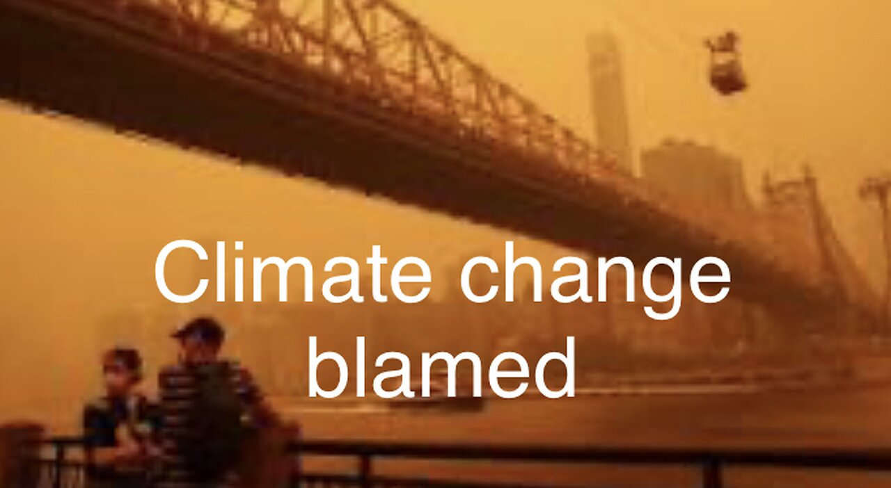Senseless violence update and let’s blame climate change
