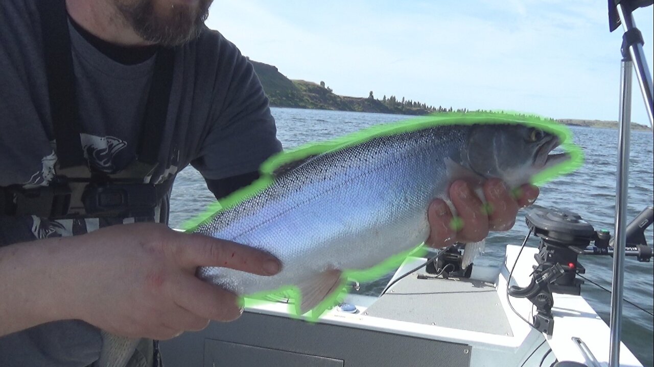 Trout Fishing With a Boat, this works every time!