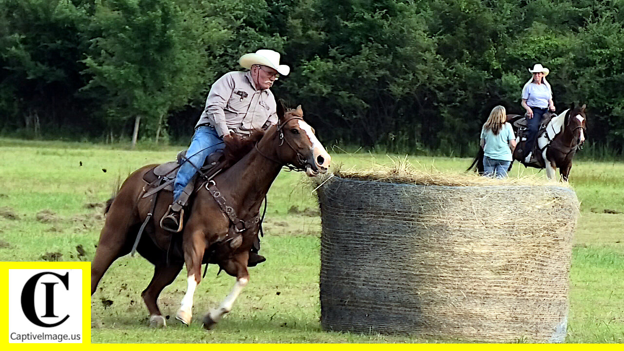 Pasture Barrel Racing - What About Bob Chuckwagon Races 2022 - Thursday