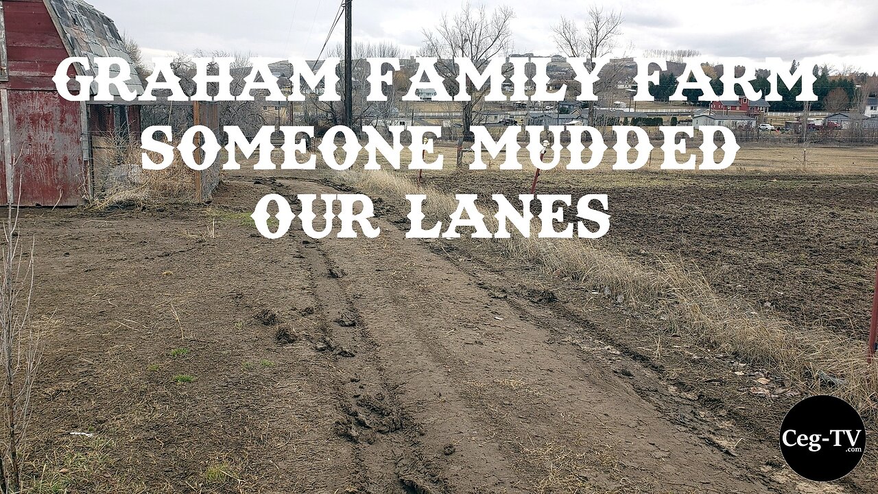 Graham Family Farm Report: Someone Mudded Our Lanes