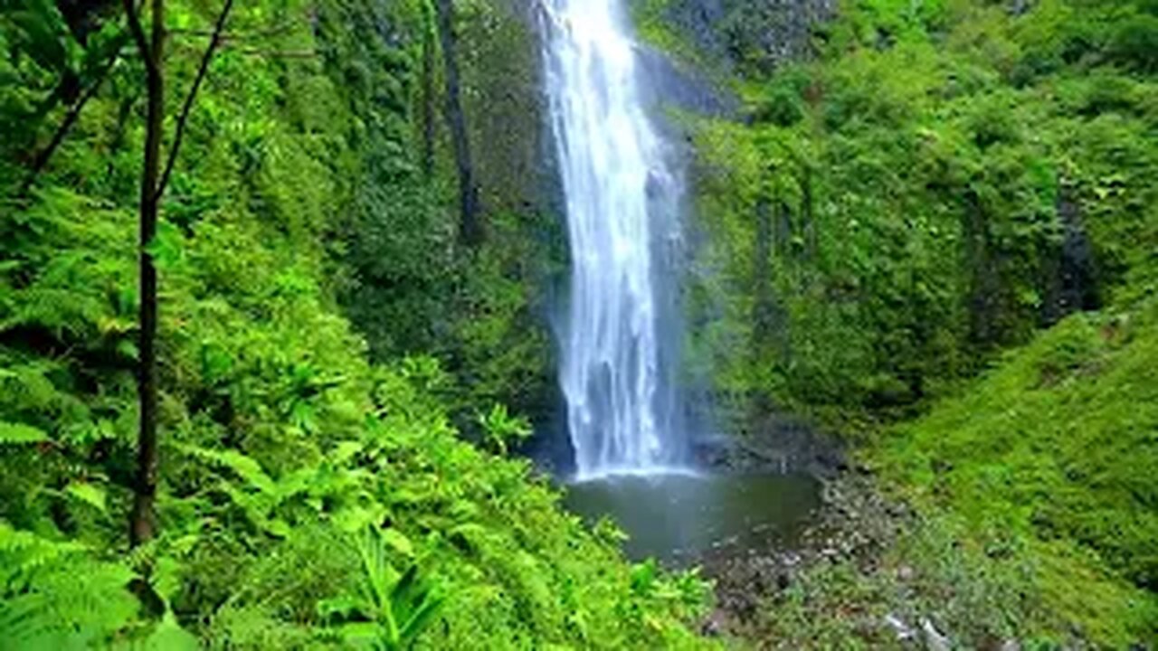 Journey Through Serene Waterfalls in the Forest for stress relief and meditation.