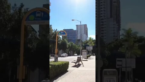 Brisbane City Tour