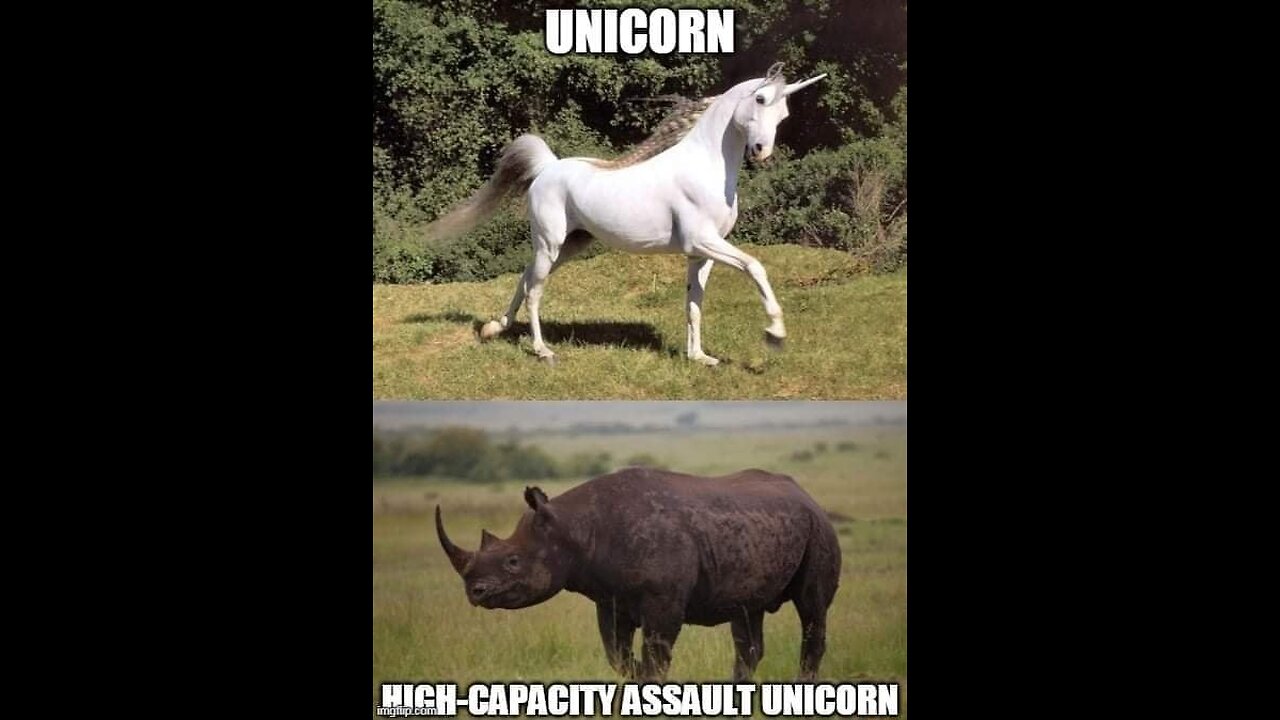 Political Unicorns - Beyond Words