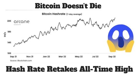 Bitcoin Hash Rate Reaches New High | Crypto News | Bitcoin Miner Revenues Grows #shorts