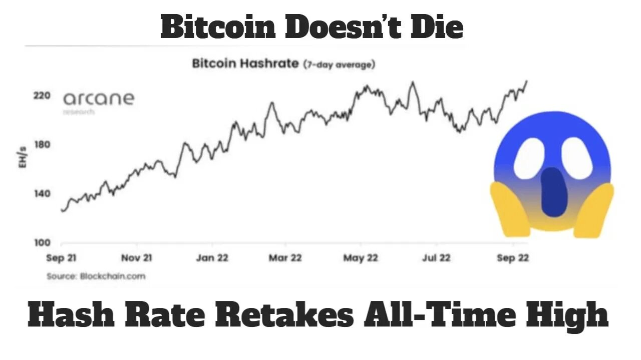 Bitcoin Hash Rate Reaches New High | Crypto News | Bitcoin Miner Revenues Grows #shorts