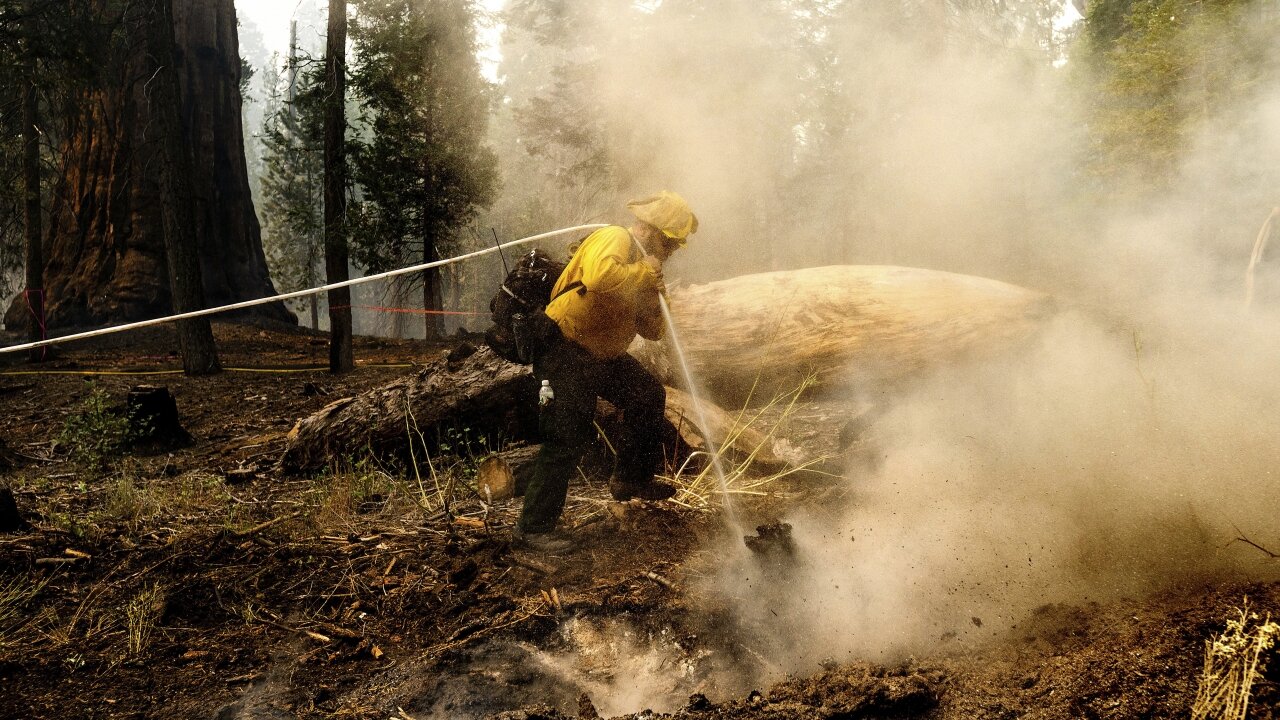 Air Quality Alerts Issued In California Due To Wildfires