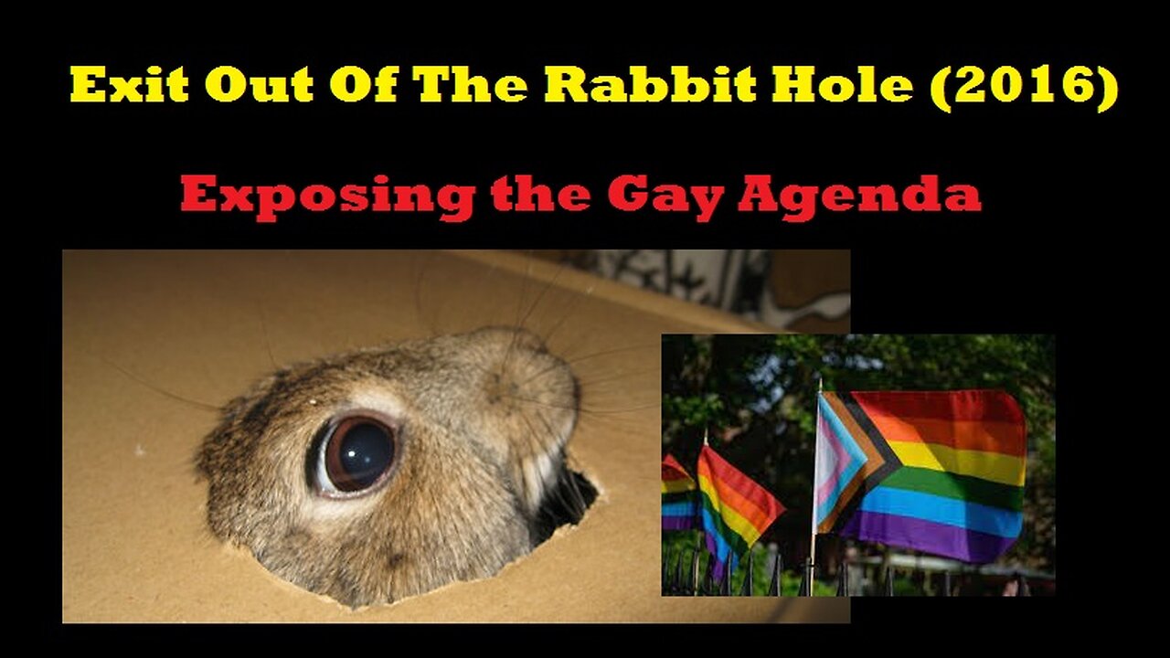 Exit Out Of The Rabbit Hole: Exposing the Gay Agenda (2016)