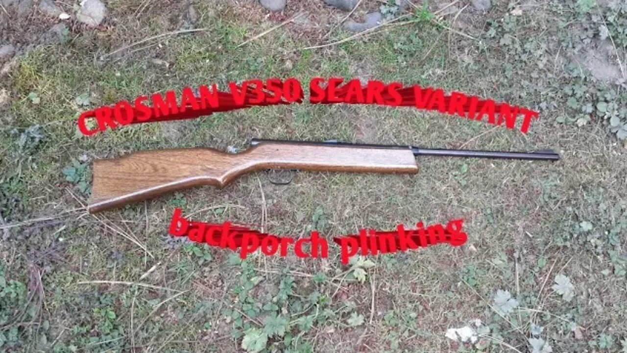 Crosman V-350 Sears variant *backporch plinking