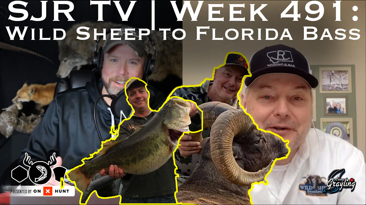 SJR TV | Week 491: Wild Sheep, Florida Bass and More!