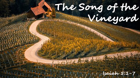 The Song of the Vineyard