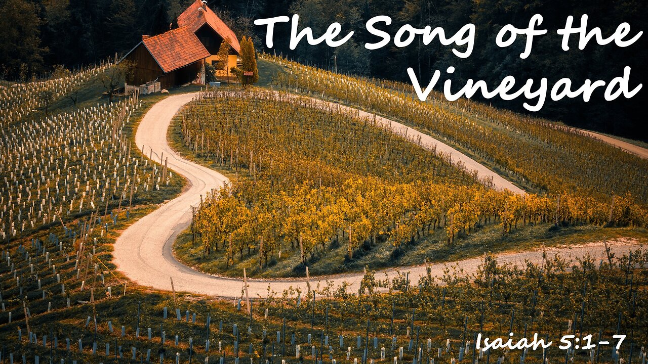 The Song of the Vineyard