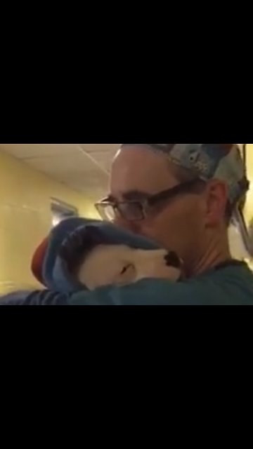 Assistant Vet Comforts Rescued Pit Bull After Surgery