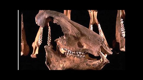 Surviving The Younger Dryas ~ Sheriden Cave, Platinum & Extinct Mega Fauna