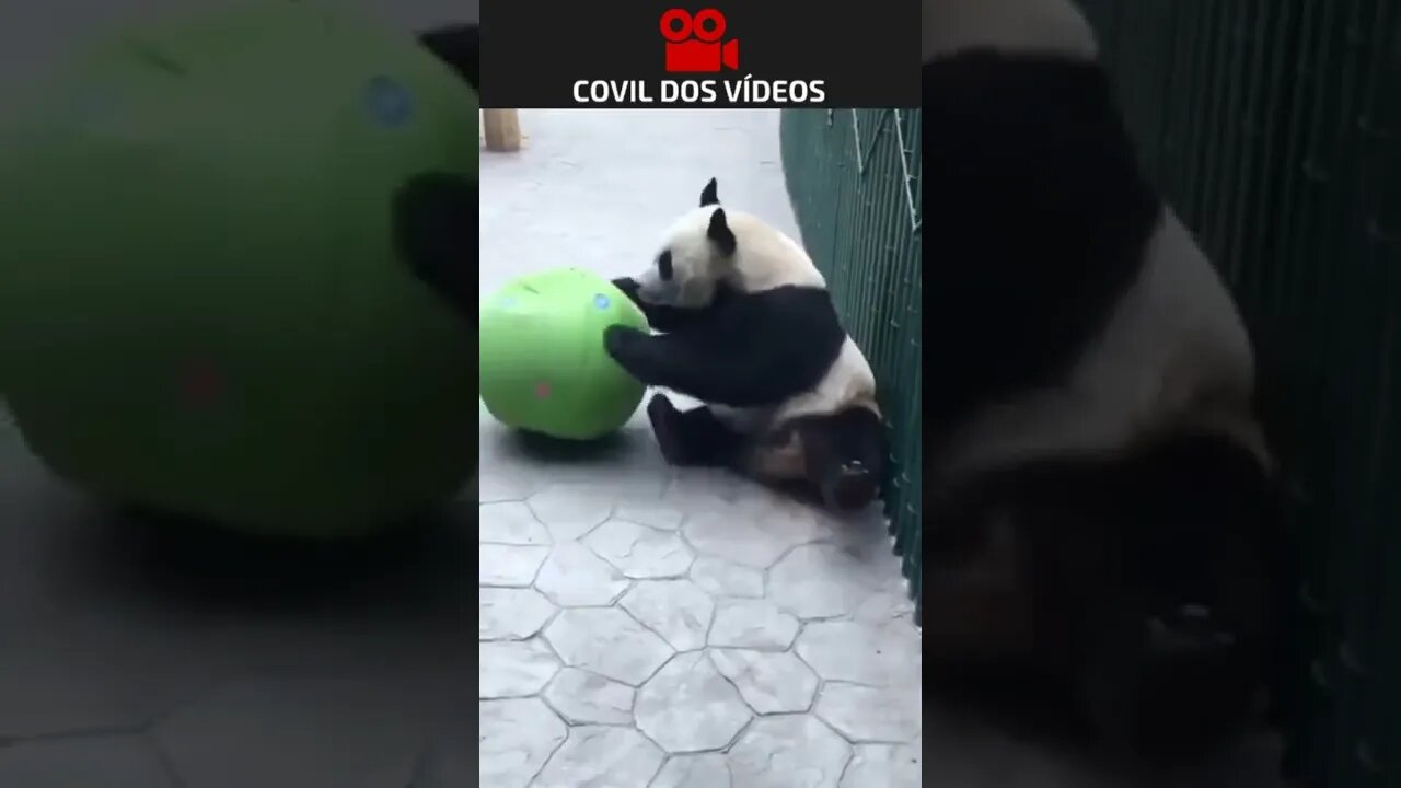 muito engraçado 😂😂😂