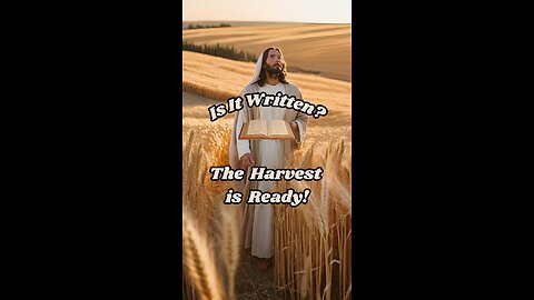 The Harvest is Ready!