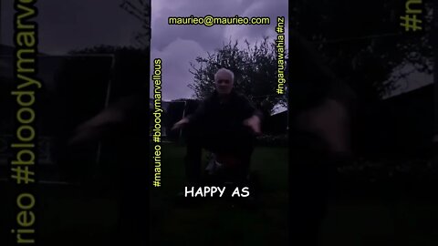 #maurieo #shorts HAPPY MOWING