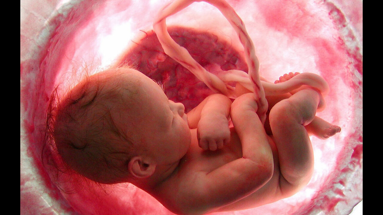 An unborn baby still inside the placenta powerful!