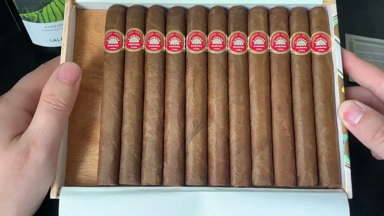 H.Upmann Majestic