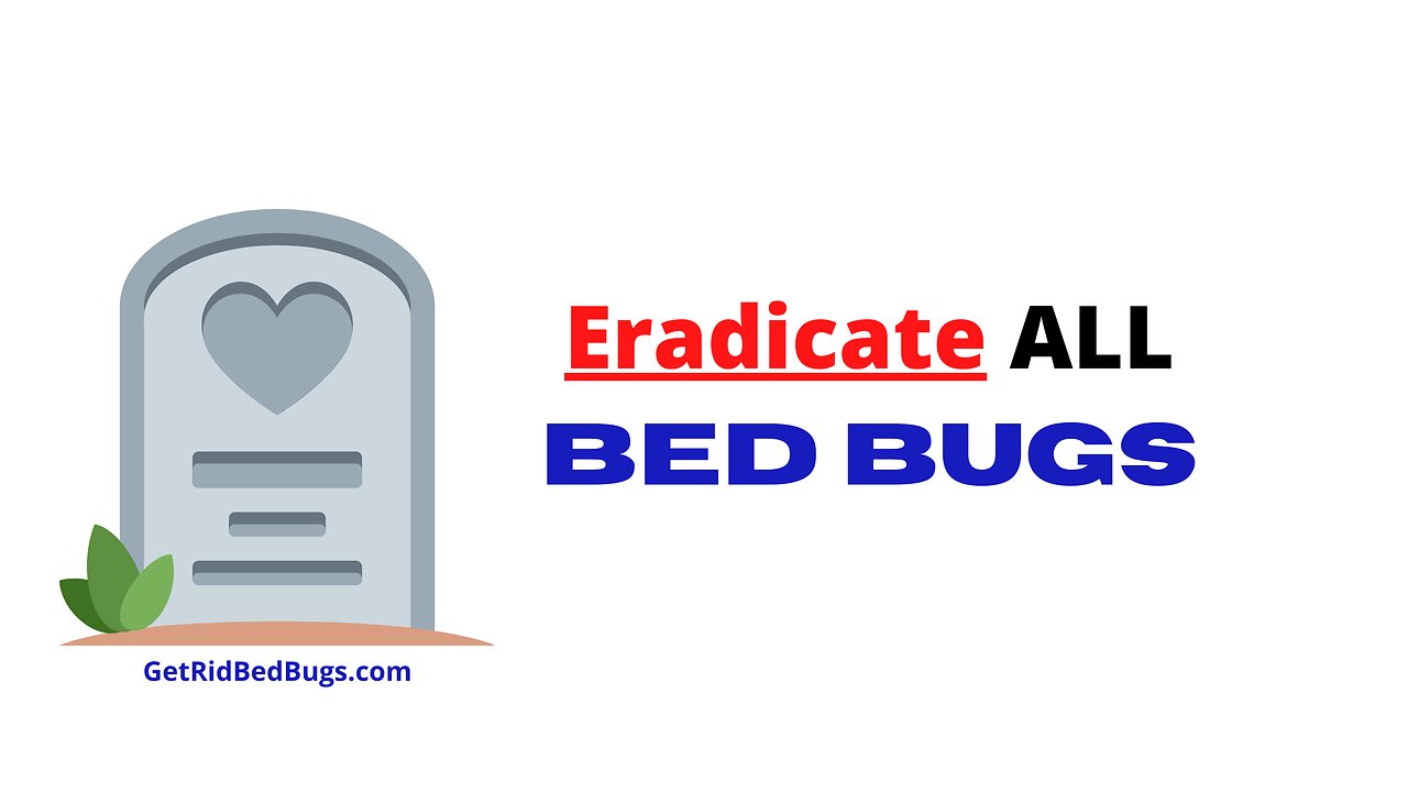 Bed Bug Myths Can You Guess All 5?