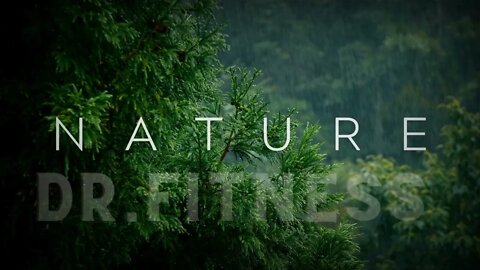 Rain in Forest