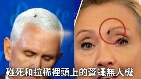 閒聊彭死和拉稀裡頭上的蒼蠅無人機