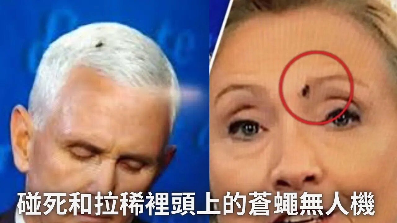 閒聊彭死和拉稀裡頭上的蒼蠅無人機