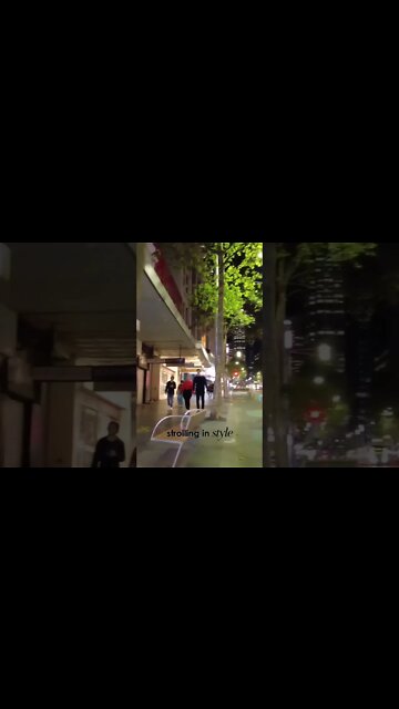 Sydney Tour at Night