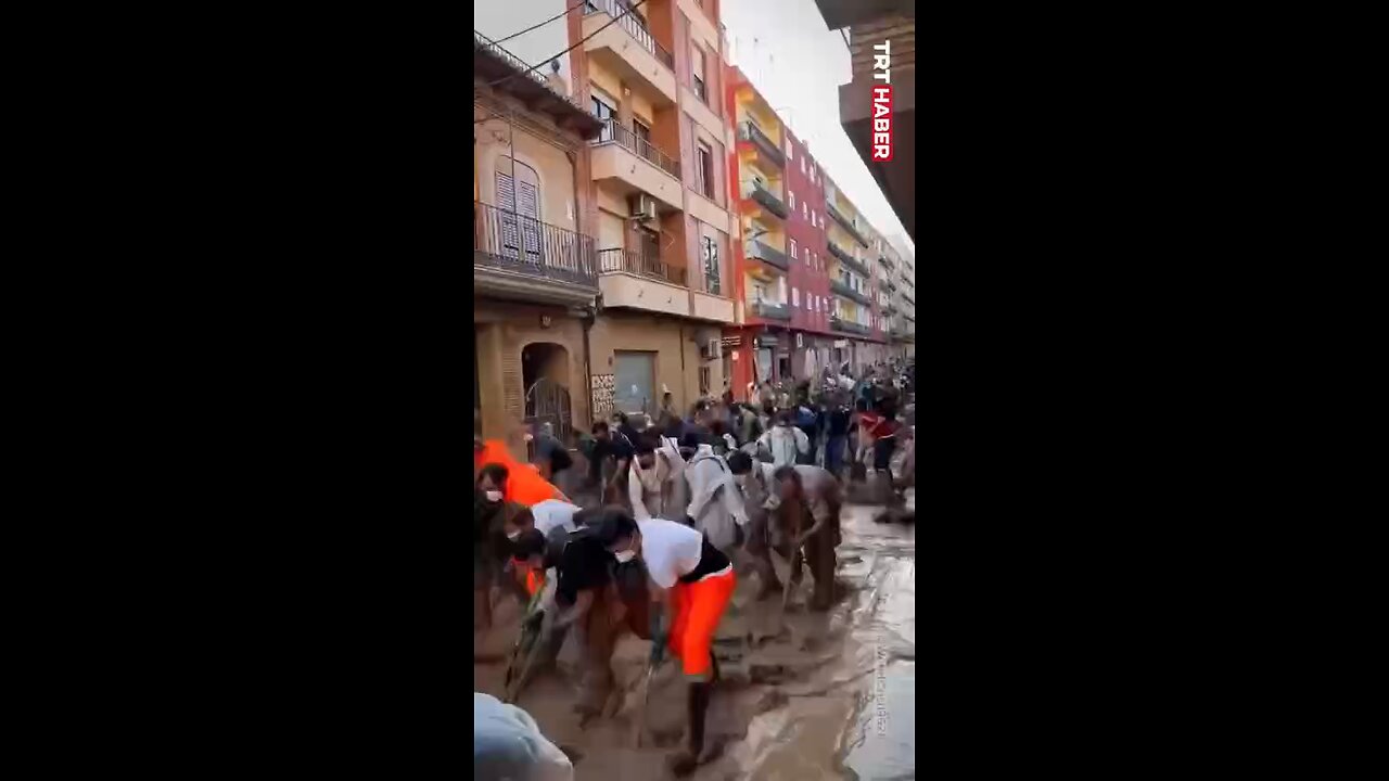 Cleaning, providing food, water, medicines... All done by the common people in Valencia