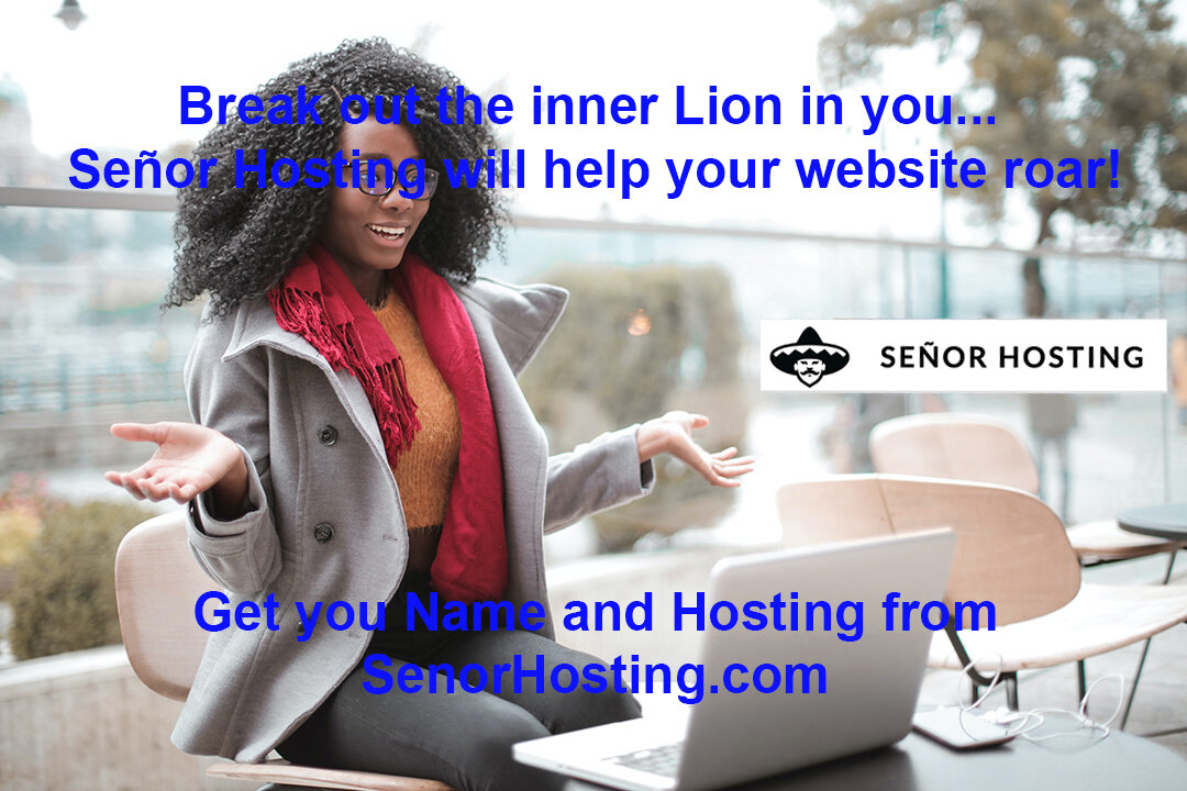 Domains and Hosting SenorHosting best in the market