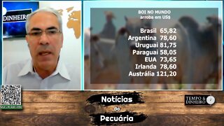 Boi gordo teve valorização em dólar. Paraguai tem o menor preço e Austrália o maior