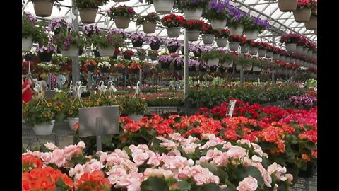 Warm temperatures woes: Farmers, gardeners prepare for heat