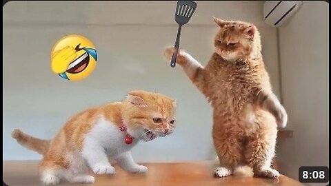 Funniest Animals 2023 😂 Funny Cats and Dogs Videos 😺🐶 Part 1