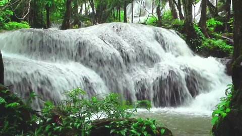 5 HOURS Heavy Waterfall Sounds & Idyllic Green Forest with Harmonious Birdsong