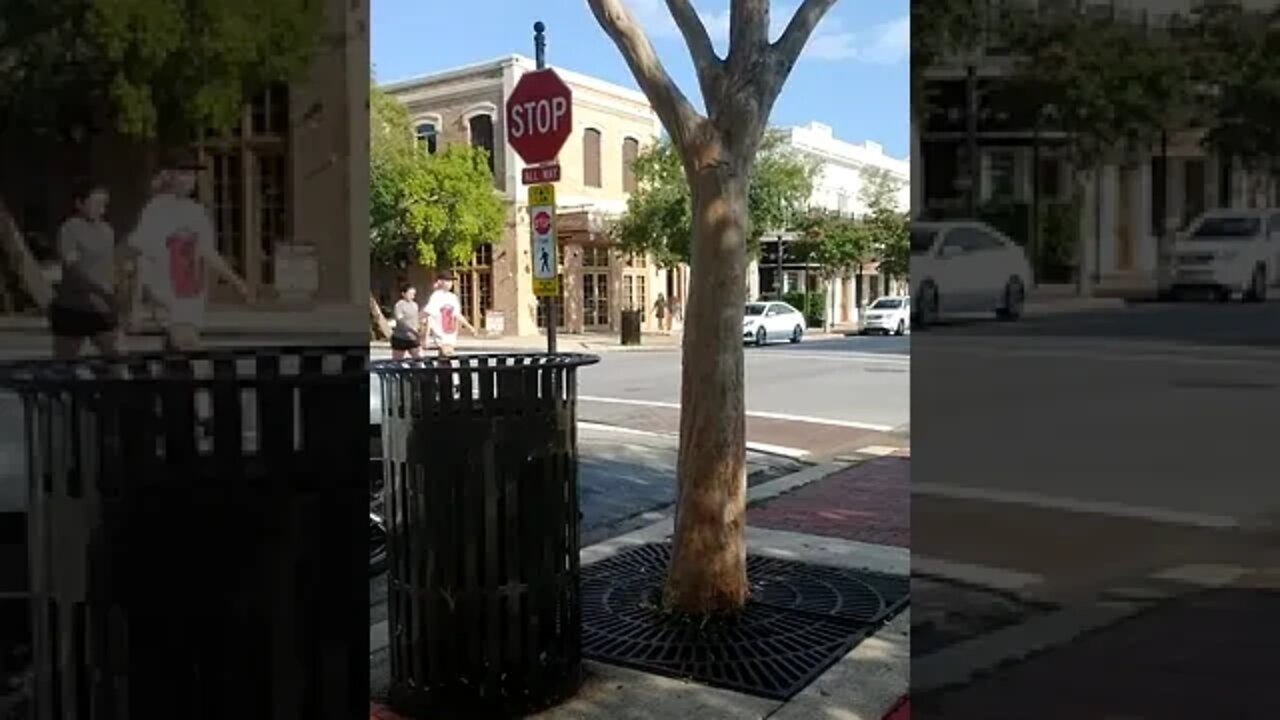 #gangstalking perp walk 08/14/2022 Pt. 4