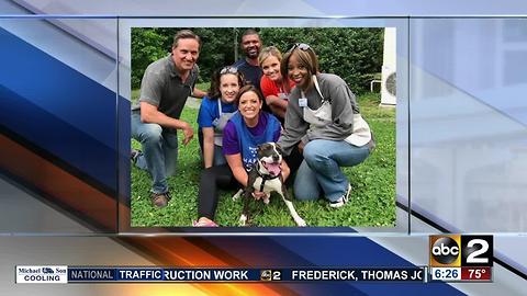 Friday marks Take Your Dog to Work Day