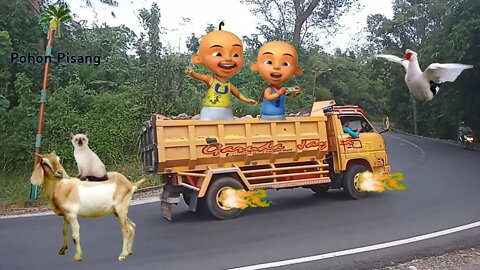 Truk Oleng Berubah Jadi Tayo