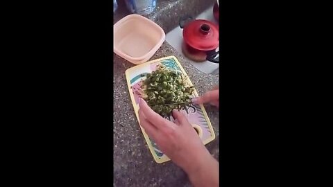 21 Cirurgia bariátrica espinafre picando cozido