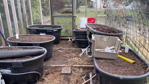 Redesign of the Aviary Part One