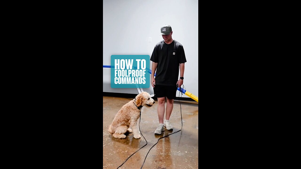 How To Foolproof Commands