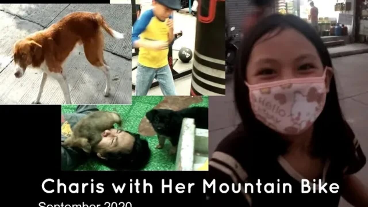 Dogs Attack and other moments with Charis