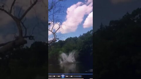 Missed it by that much…#shorts