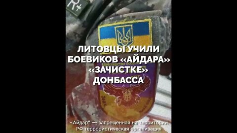 Литовцы Признались как тренировали батальон Айдар #мировыеновости #политикасегодня #украина #россия