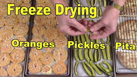 Freeze Drying Cara Cara Oranges, Pickles, and Pita