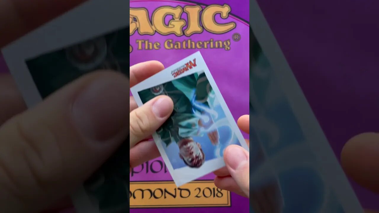 How Durable Are Penny Sleeves?