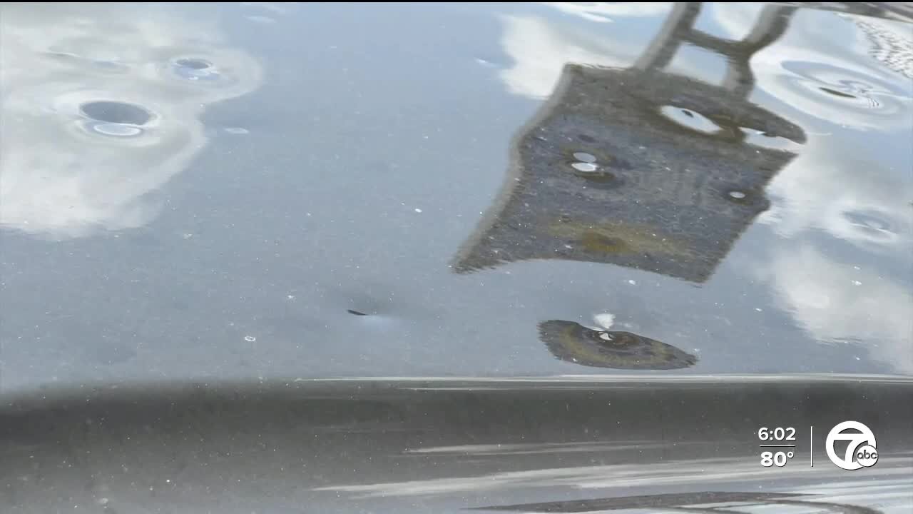 Community recovering: Davison hailstorm leaves hundreds of cars badly damaged